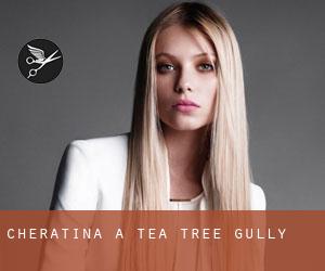 Cheratina a Tea Tree Gully