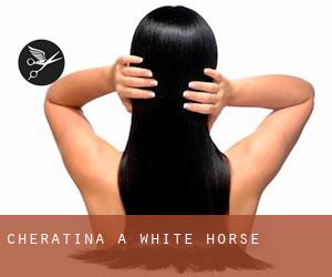 Cheratina a White Horse