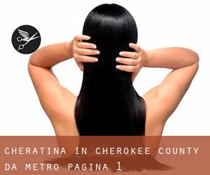 Cheratina in Cherokee County da metro - pagina 1
