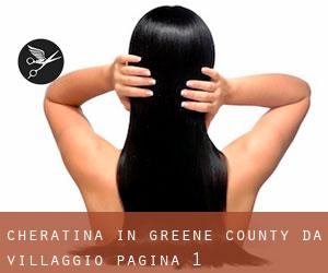 Cheratina in Greene County da villaggio - pagina 1