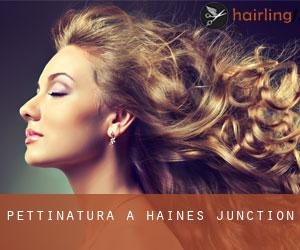 Pettinatura a Haines Junction