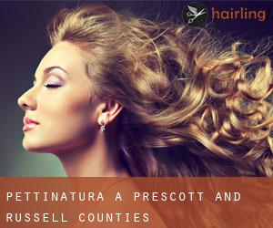 Pettinatura a Prescott and Russell Counties