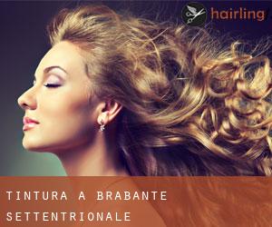 Tintura a Brabante Settentrionale Tintura a Brabante Settentrionale