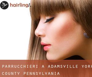parrucchieri a Adamsville (York County, Pennsylvania)