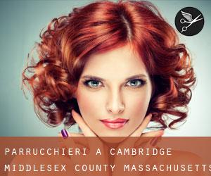 parrucchieri a Cambridge (Middlesex County, Massachusetts)