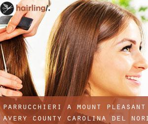 parrucchieri a Mount Pleasant (Avery County, Carolina del Nord)