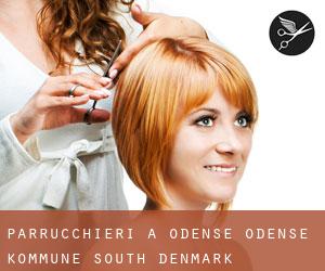 parrucchieri a Odense (Odense Kommune, South Denmark) parrucchieri a Odense (Odense Kommune, South Denmark)