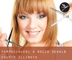 parrucchieri a Rollo (DeKalb County, Illinois)